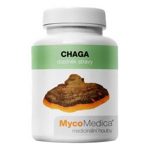 Chaga