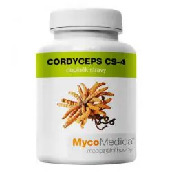 CORDYCEPS CS-4 – Cordyceps sinensis – DONG CHONG XIA CAO – K01