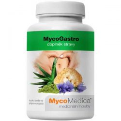 MycoGastro – K31